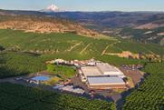 Orchard View cherry production site