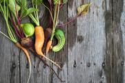 Hort Innovation Australian ugly veg