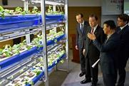 Korean strawberries technology briefing Korea Agro-Fisheries Food Trade Corporation