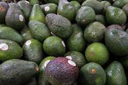 Avocados from Mexico on sale in US supermarket MUST CREDIT Scott Habermann - Adobe Stock