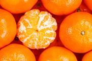 Adobe Stock mandarins