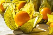 Physalis Adobe Stock