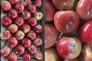 Sunrise Magic apples Fruit Australia