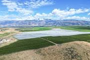 DJI_0087 (1)