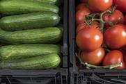 Ifco Rewe cucumbers tomatoes