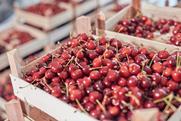 Fresh cherries in wooden crates Adobe Stock