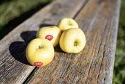 Yello apples MUST CREDIT Armin Huber