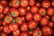 Generic tomatoes top-down view Adobe Stock