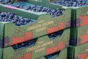 Organic Oregon Blueberries USA MUST CREDIT mdurson - Adobe Stock