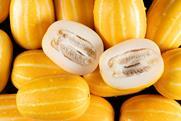 Korean Oriental melon Adobe Stock