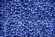 Blueberries in plastic containers top down view Adobe Stock