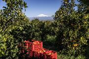 Unifrutti citrus farm overlooking Mount Etna
