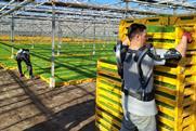 NL Skelex greenhouse exoskeleton 3