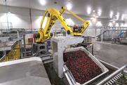 Unitec washing cherries