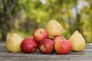 Apples and pears stacked on wooden table Adobe Stock