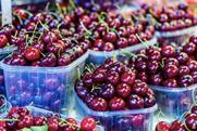 Cherries at a market in Barcelona Spain Adobe Stock