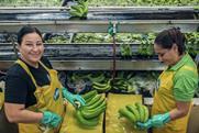 Fyffes fourth Human Rights Report banana sorting packing