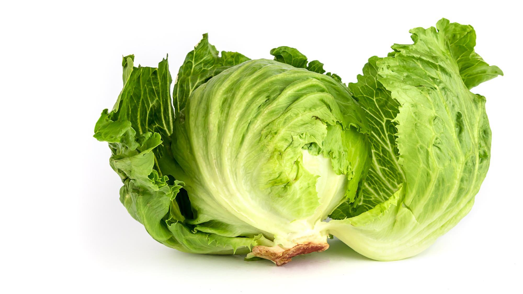 Tesco changes iceberg lettuce specs amid drought Article