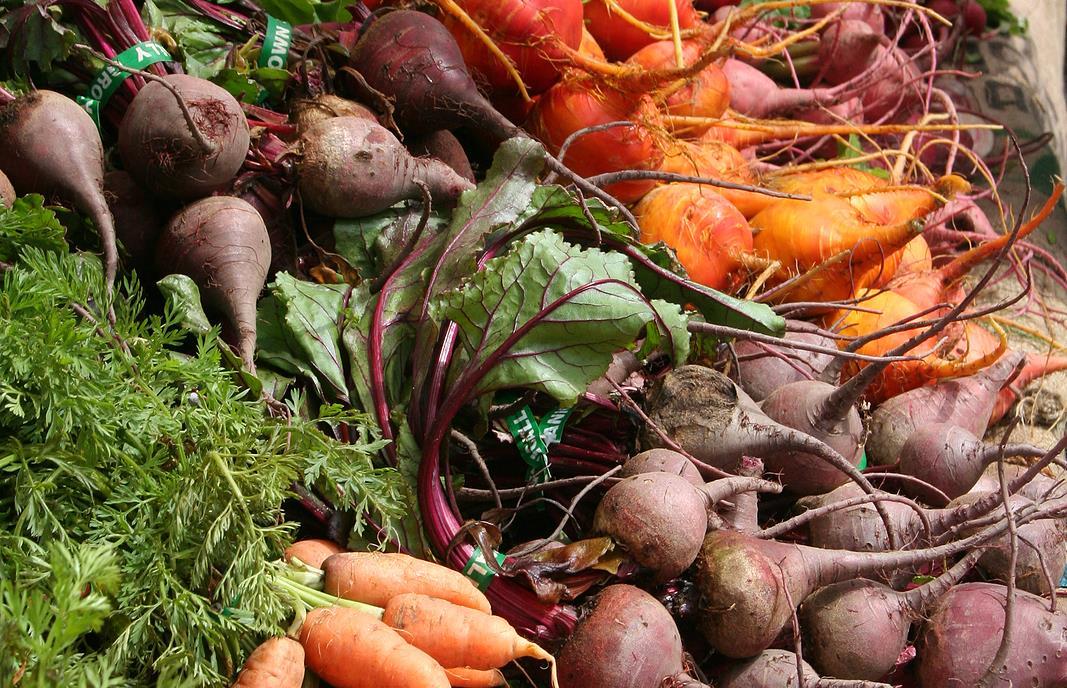 Soil Association calls for PM action on healthy food