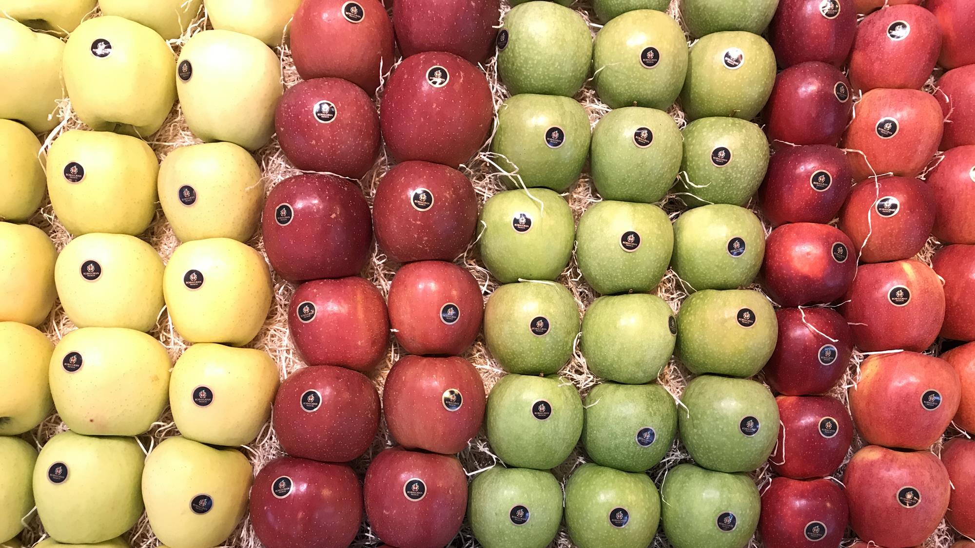 Forecasts predict rise in European apple and pear production Article