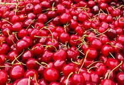 kirschen- Couleur pixabay