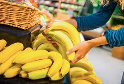 bananen_benjaminnolte_AdobeStock_142141715