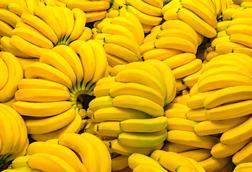 Bananen - serjiob74_AdobeStock