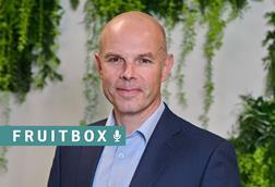 Fruitbox Wyard Stomp Driscolls