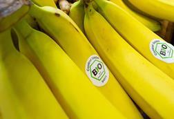 Bio-Bananen