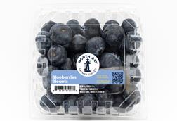 North Bay Produce new logo branding blueberries 2026