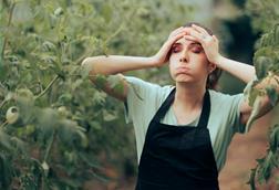 Der Stress für Landwirte nimmt zu