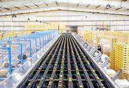 Kiwifruit pack house