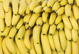 Bananen - AdobeStock