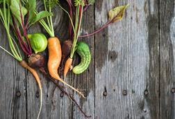 Hort Innovation Australian ugly veg