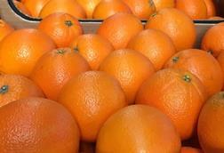 Turkish oranges