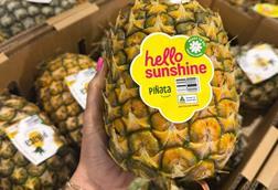 Piñata Farms launches new branding as it begins harvest on its far north Queensland crop