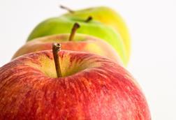 AdobeStock_15775847