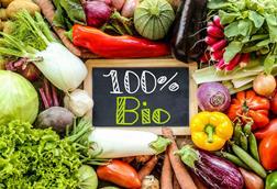 Bio_Jérôme Rommé_AdobeStock_217127549