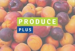 Produce Plus Summer marketing