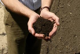 Volkert Engelsman soil