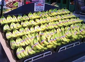 UGPBAN bananas