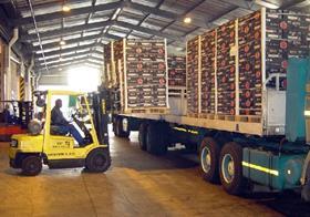 Durban truck loading