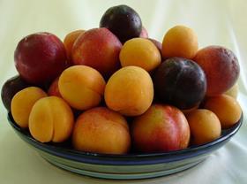 Bowl of SA stonefruit