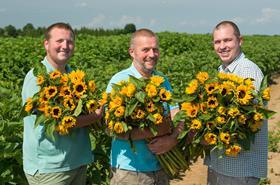 Waitrose sunflower growers