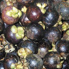 Magical mangosteen