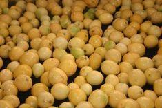 Lemons at MTEX's Ashqelon packhouse earlier this week