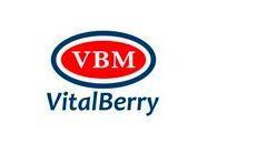 Vital Berry Marketing