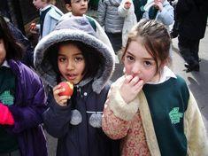 Study: toddlers eat too much fruit and veg