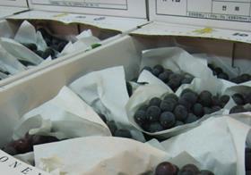 Korean grapes
