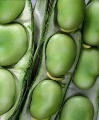 Beans and peas campaign targets youngsters